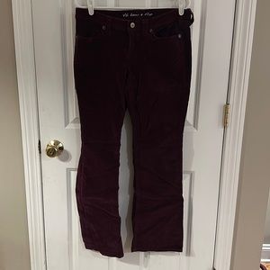 Women’s London Jean corduroy pants